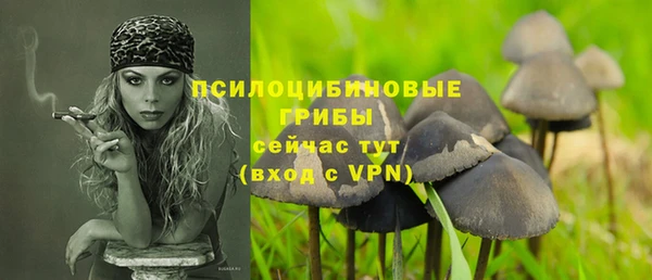 Альфа ПВП Бугульма