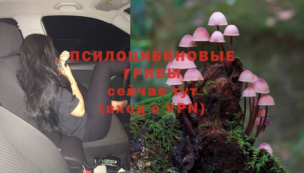 бошки Магадан