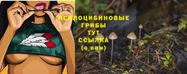 спиды Верхний Тагил