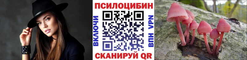 OMG зеркало  Весьегонск  Галлюциногенные грибы Psilocybe  закладка 